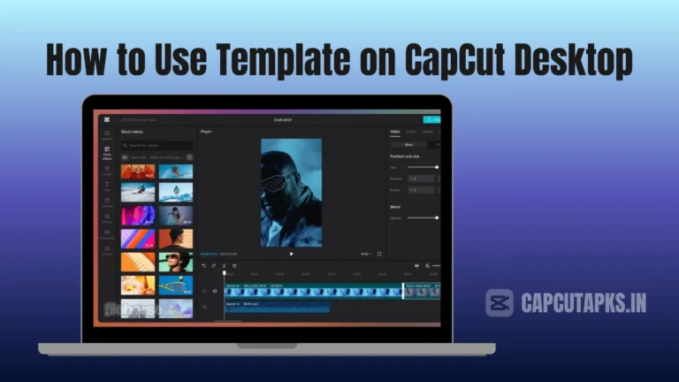How to Use Template on CapCut Desktop