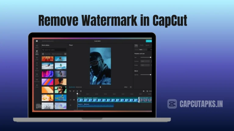 Remove Watermark in CapCut